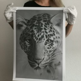 Diana Nobs Art - dessin - pastel - www.diananobs.com - édition limitée