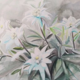 Diana Nobs Art - peinture - aquarelle - www.diananobs.com - édition limitée