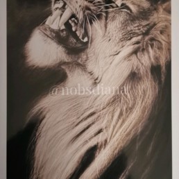 Diana Nobs Art - dessin - pastel - www.diananobs.com - édition limitée